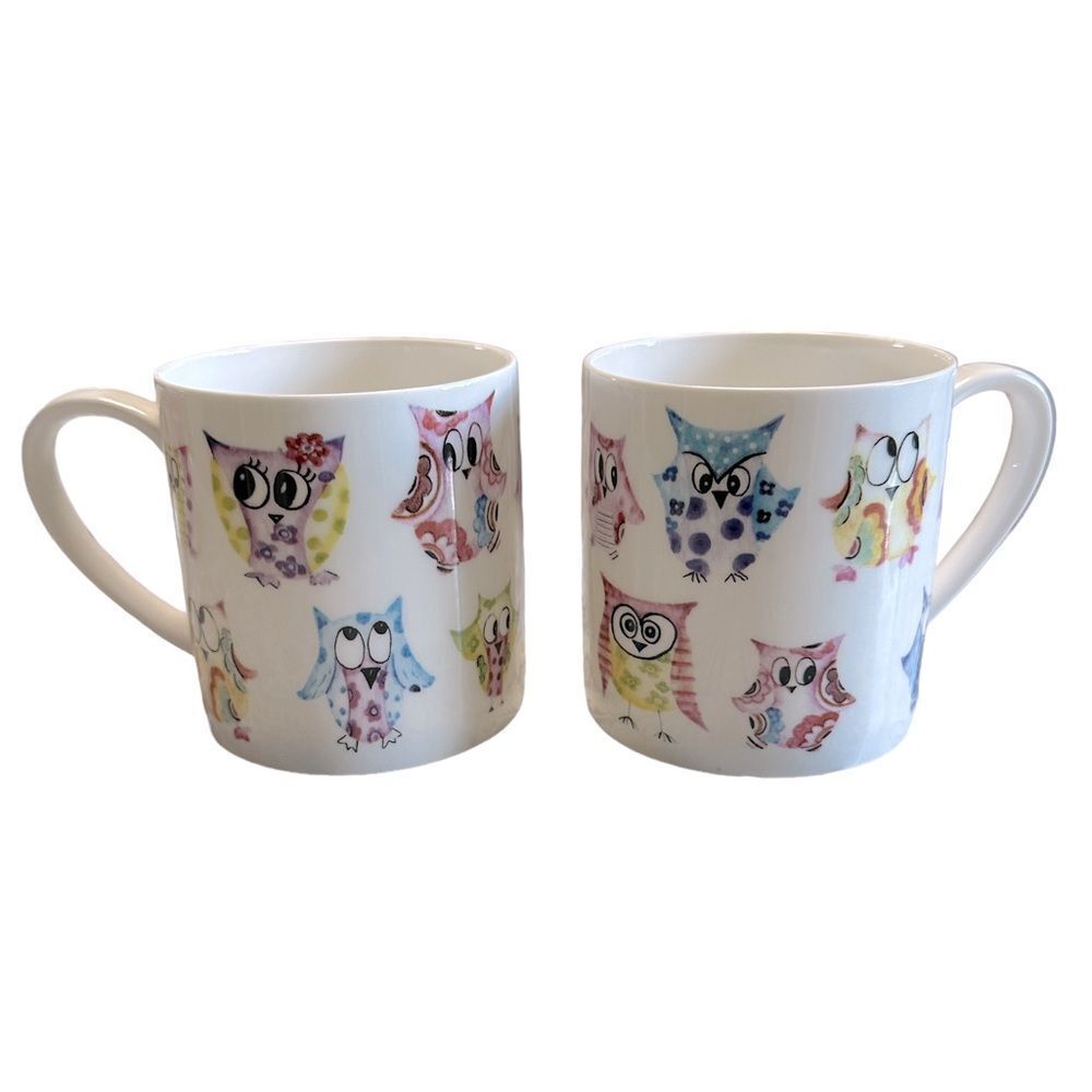 Rose Of England Fine Bone China Colorful Owl 🦉 Coffee Mug Set of 2 3.5” tall